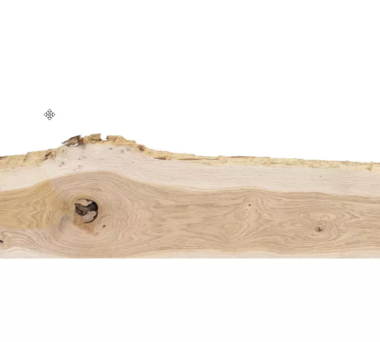 Solid oak wood 35 x 18-25 cm - with wane, untrimmed and debarked - untreated