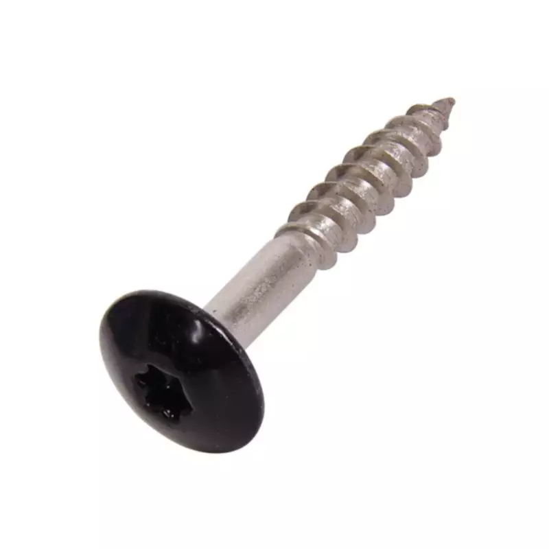 100x stainless steel fixing screws 4.8x38 - black