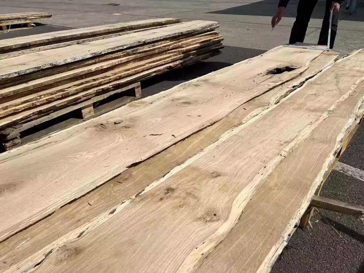 Rustic oak 200 x 30-35 cm - with wane, unedged and debarked - untreated