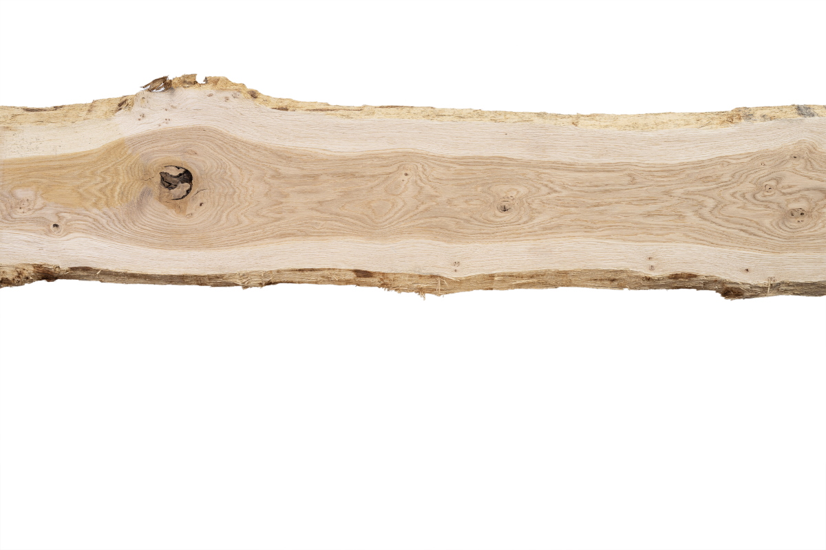 Legno massello di rovere 200 x 25-30 cm - con calante, non rifilato e  scortecciato - non trattato